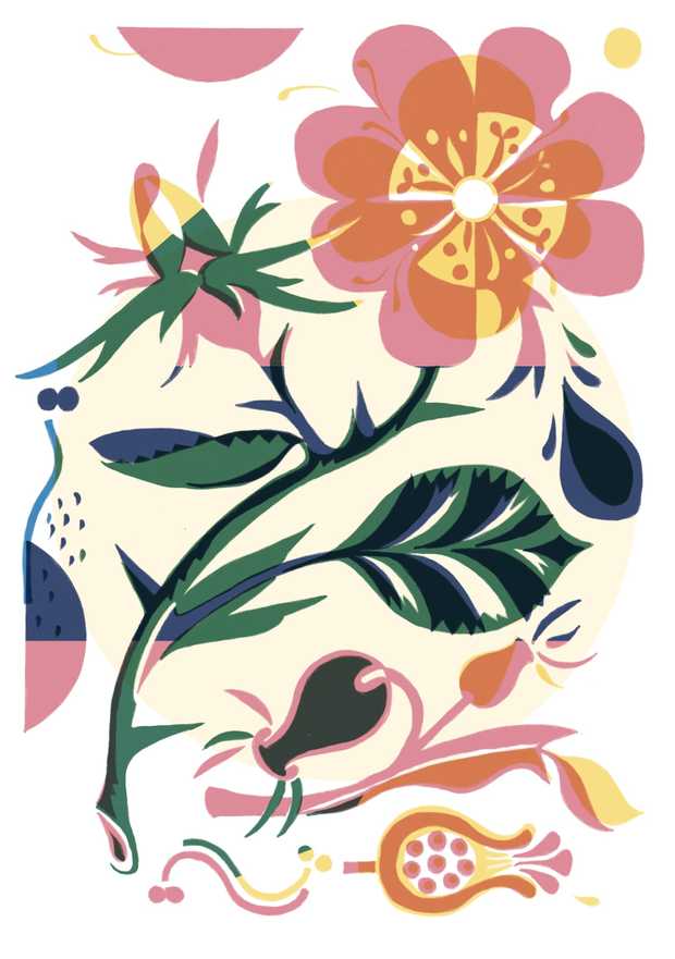 Illustration von einem Rosenstrauch mit Dornen und Knospen.