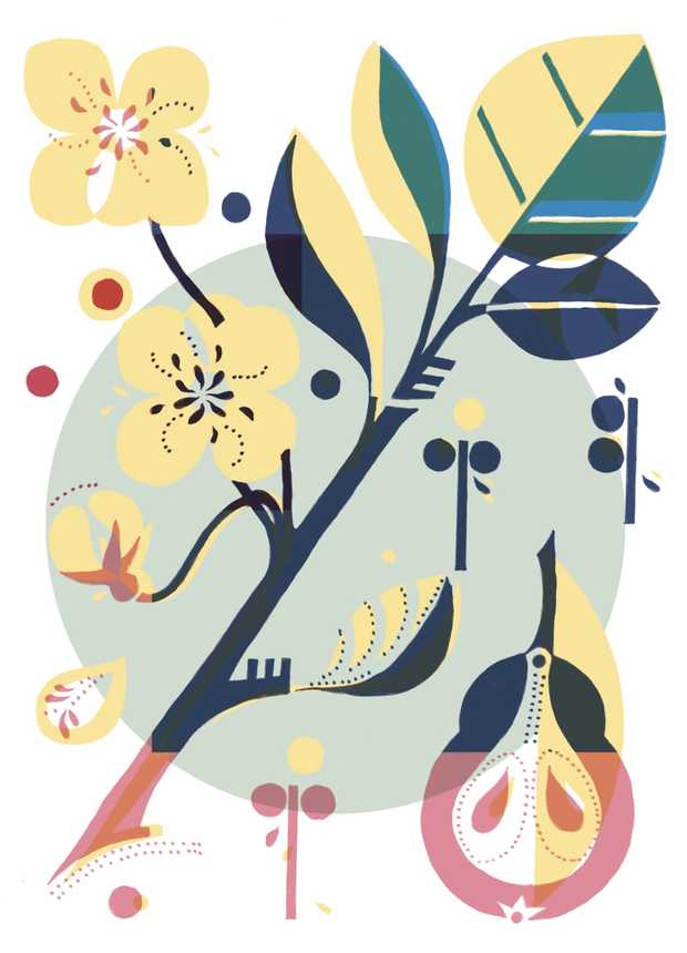 Illustration von einer Birne und einem Birnenbaum mit Blüten und Blättern.