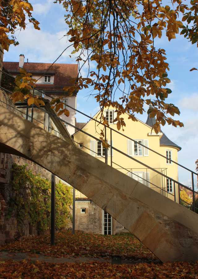 Blick in den Garten des Hölderlinturms