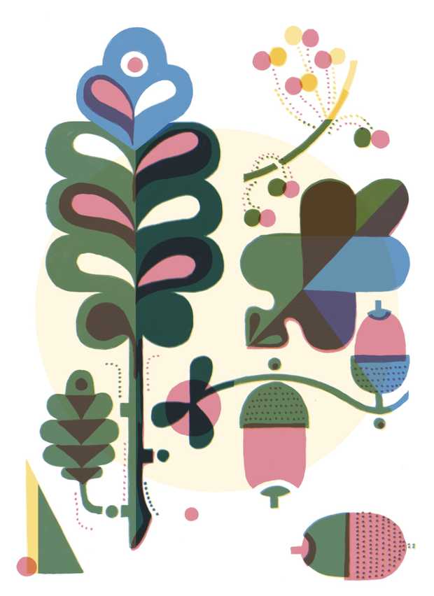 Illustration von Eichenblättern und Eicheln.