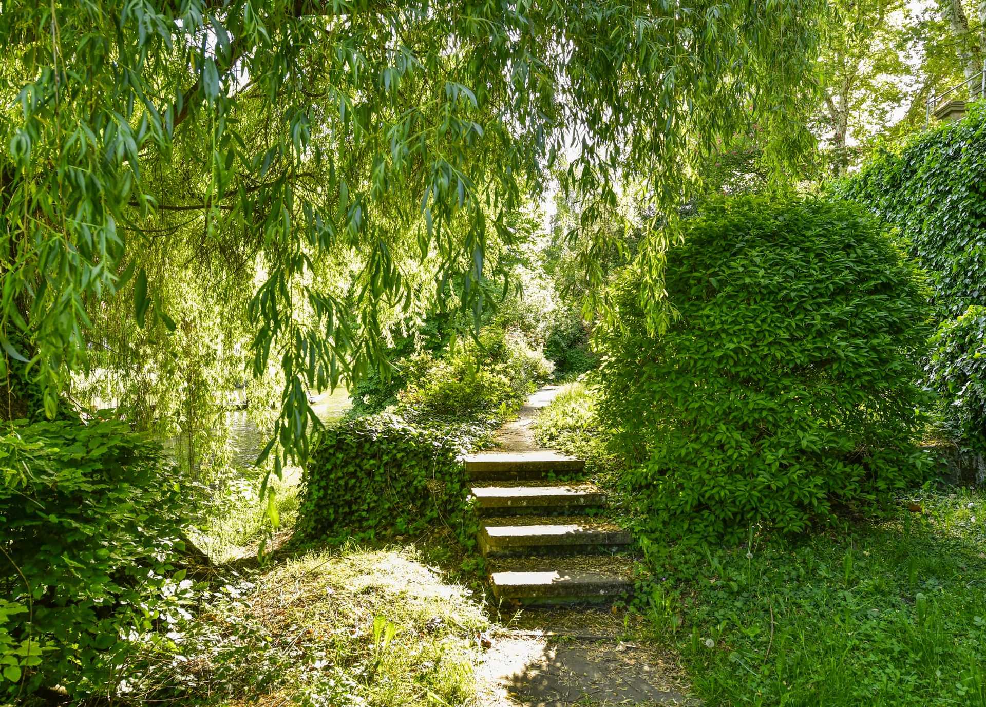 Ein Bild aus dem unteren Teil des Gartens mit Flussufer und Trauerweide